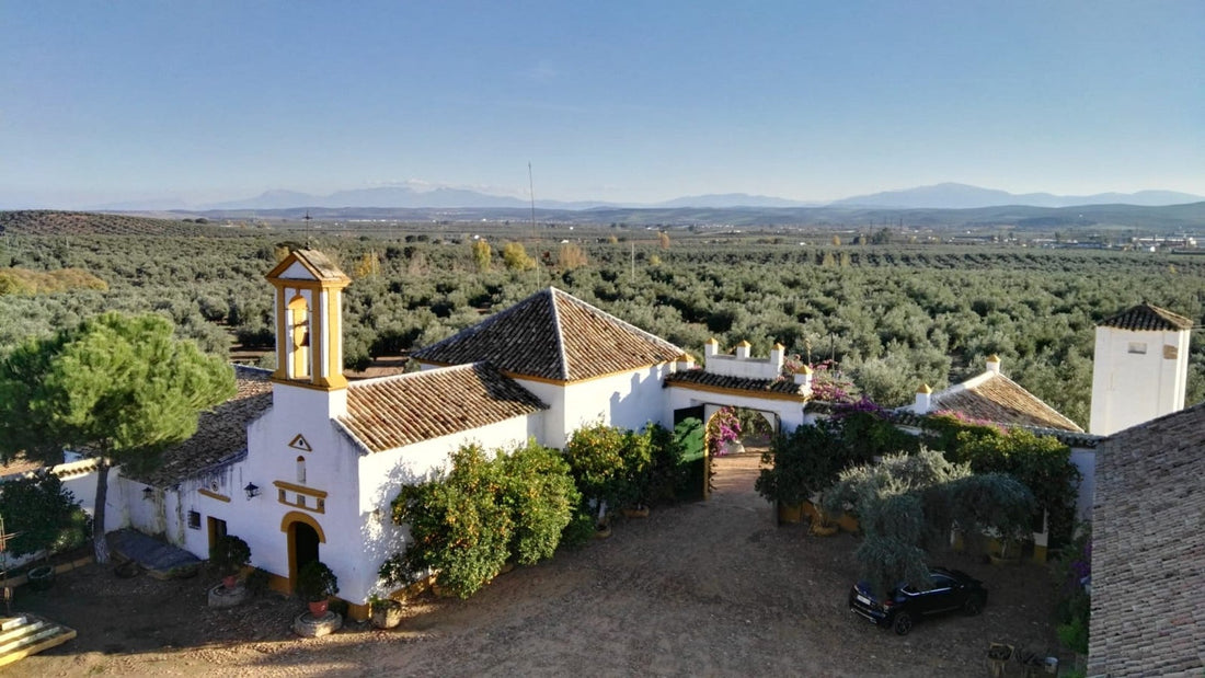 La historia de la finca La Aldehuela