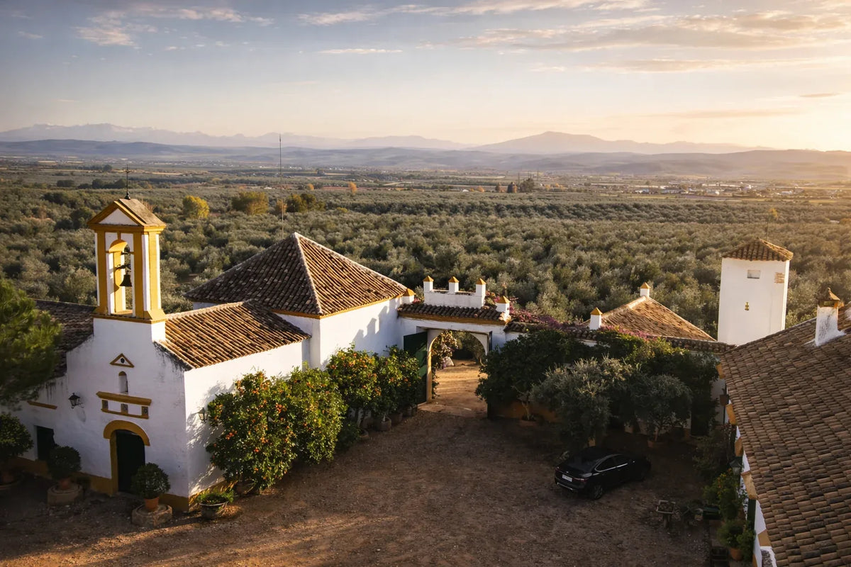 Cortijo de la Aldehuela rodeado de olivar en Andújar, Jaén